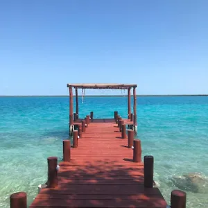 book here