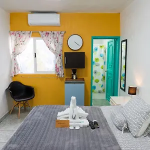 book here